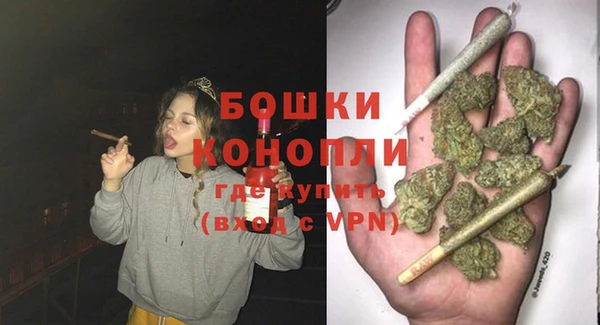 индика Беломорск
