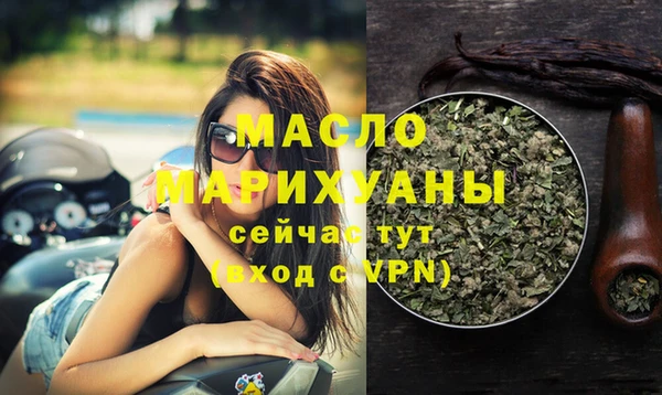 индика Беломорск