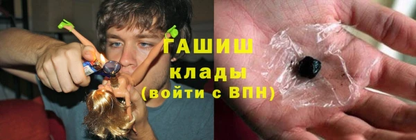 индика Беломорск