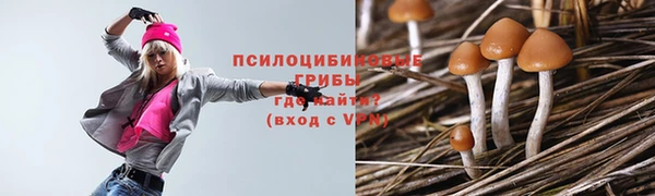 героин Богданович