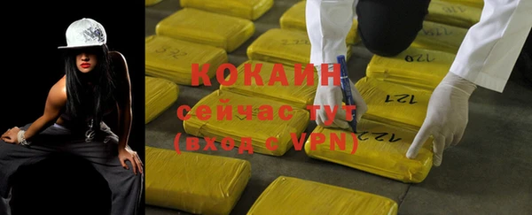 индика Богородск