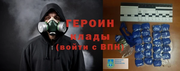 индика Беломорск