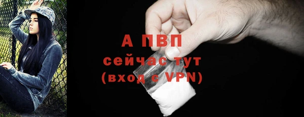 СК Белокуриха
