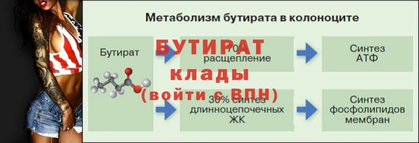 СК Белокуриха