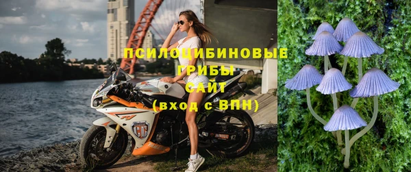 индика Беломорск
