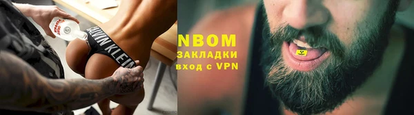 индика Богородск