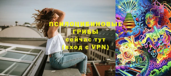 героин Богданович