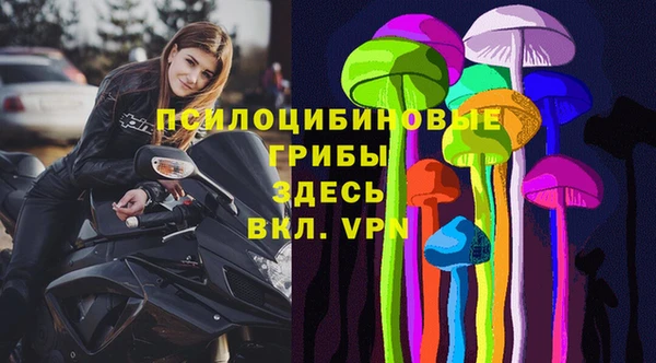 mdma Богородицк