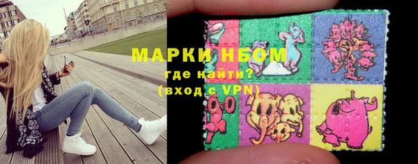 индика Беломорск