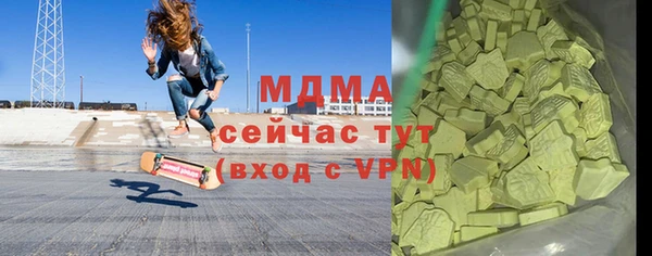 индика Богородск
