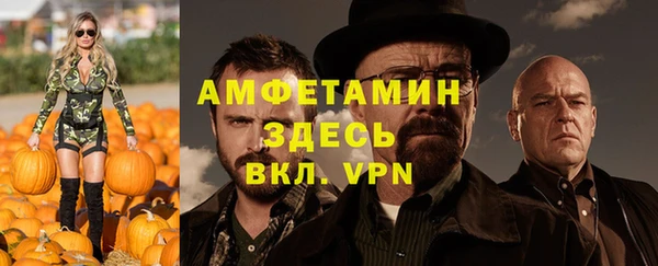индика Беломорск