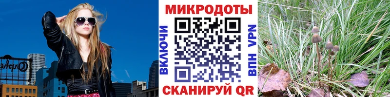 Галлюциногенные грибы мицелий  сайты даркнета как зайти  Дюртюли 